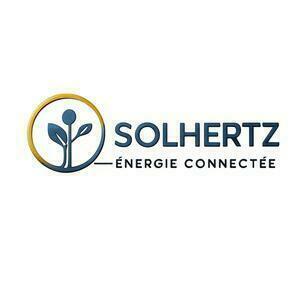 Solhertz Limas, Professionnel indépendant