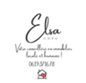 Elsa Cohu  Minzier, Professionnel indépendant