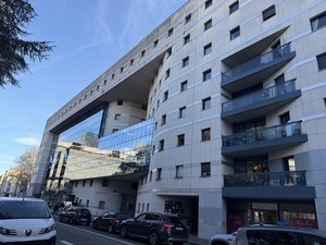 Chupin Betty Lyon, Professionnel indépendant